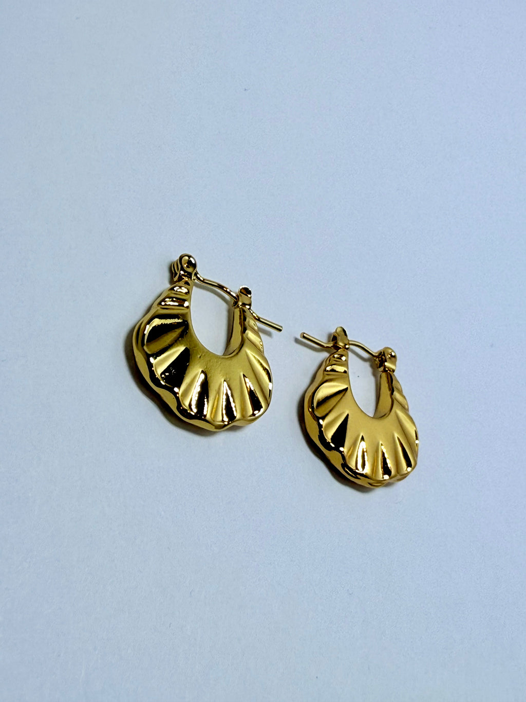 Sculpted Hoop Earrings
